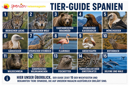 Tierwelt in Spanien. Graphik Alexander Gresbek Spaniens Welt der Tiere